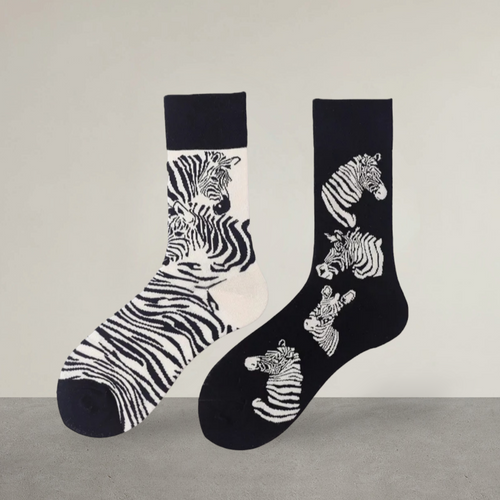 ZÈBRES (38-42)
