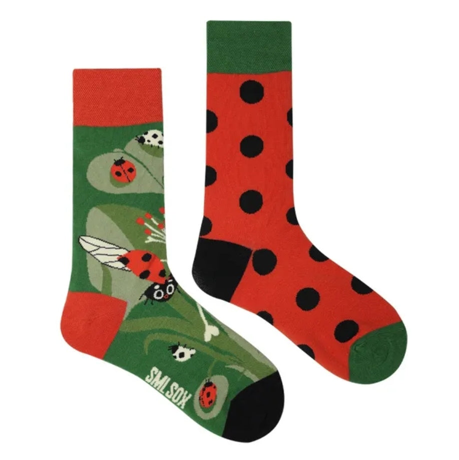 LES COCCINELLES (38-42)