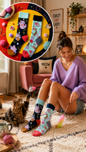 Charger l'image dans la galerie, NEW | CHATS &amp; PELOTES (38-42)